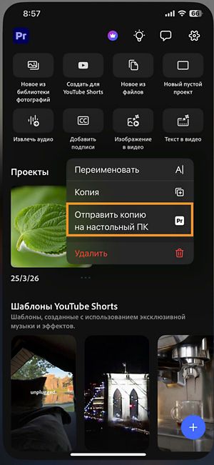 Меню параметров проекта на главном экране с выделенной функцией «Отправить копию на настольный ПК».