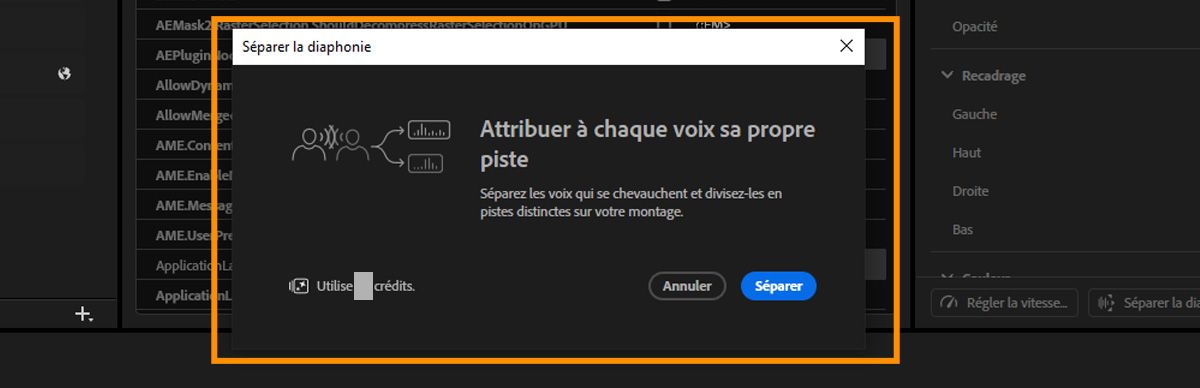 Boîte de dialogue Séparer la diaphonie avec des informations sur la séparation des voix qui se chevauchent en pistes individuelles, un indicateur montrant l'utilisation du crédit génératif, et un bouton Séparer pour commencer le traitement.