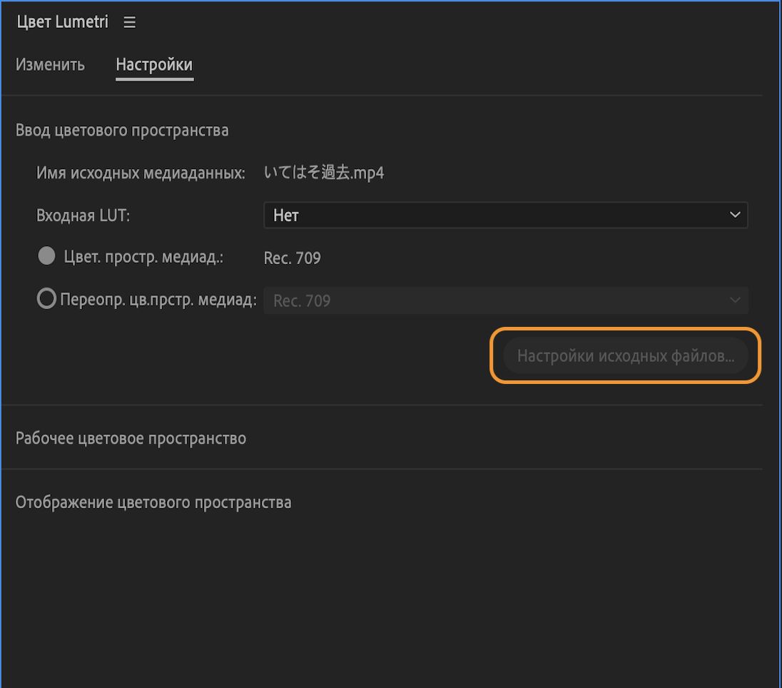 В пользовательском интерфейсе отображаются настройки ввода цветового пространства с возможностью доступа к настройкам источника.