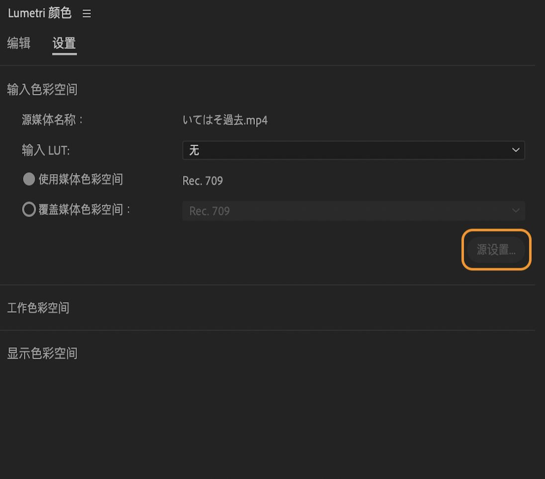 显示具有访问源设置的选项的输入色彩空间设置的 UI。