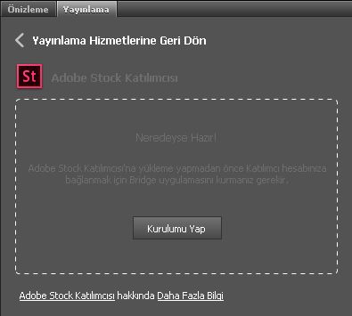 Adobe Stock'ta Contributor profilinizi oluşturma