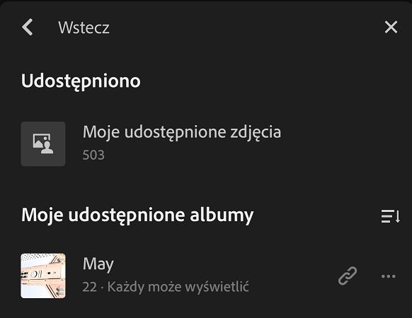 Widok Udostępnione albumy