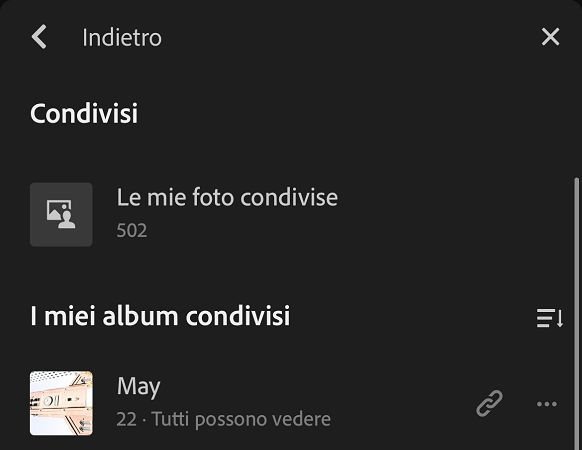 Vista Album condivisi