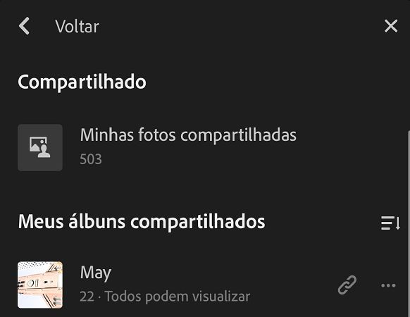 Visualização Álbuns compartilhados
