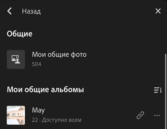 Представление «Общие альбомы»