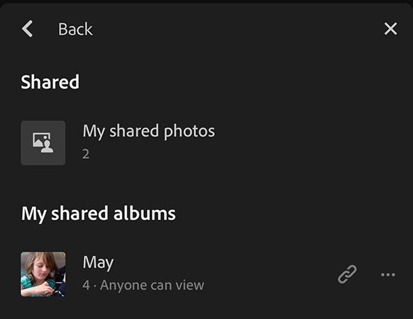 Shared Albums View