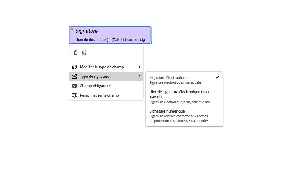 Vue du champ de signature électronique illustrant le menu contextuel du clic gauche ainsi que l’option Type de signature. menu déroulant développé.