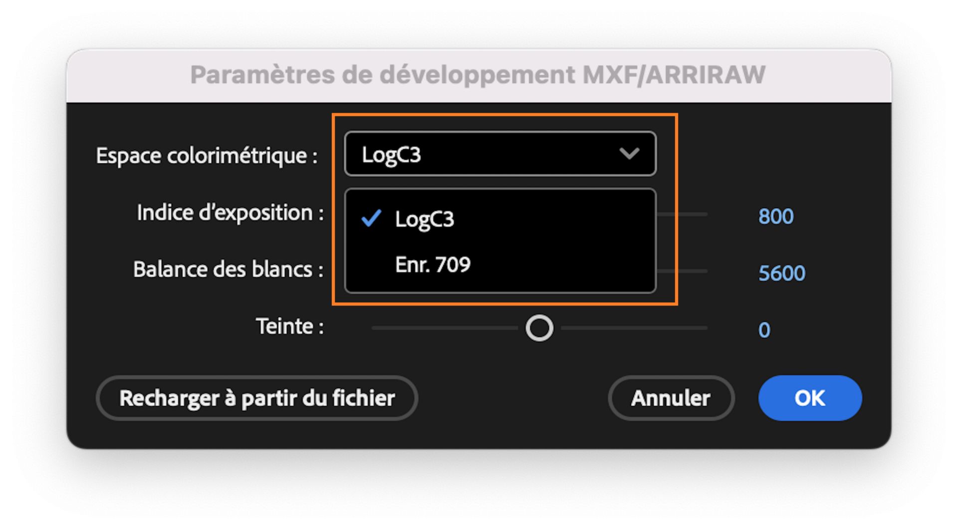 Programme bêta Creative Cloud Collaboration et Web