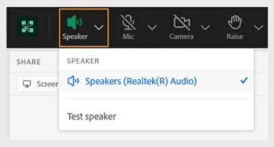 Access speaker to test, mute or unmute