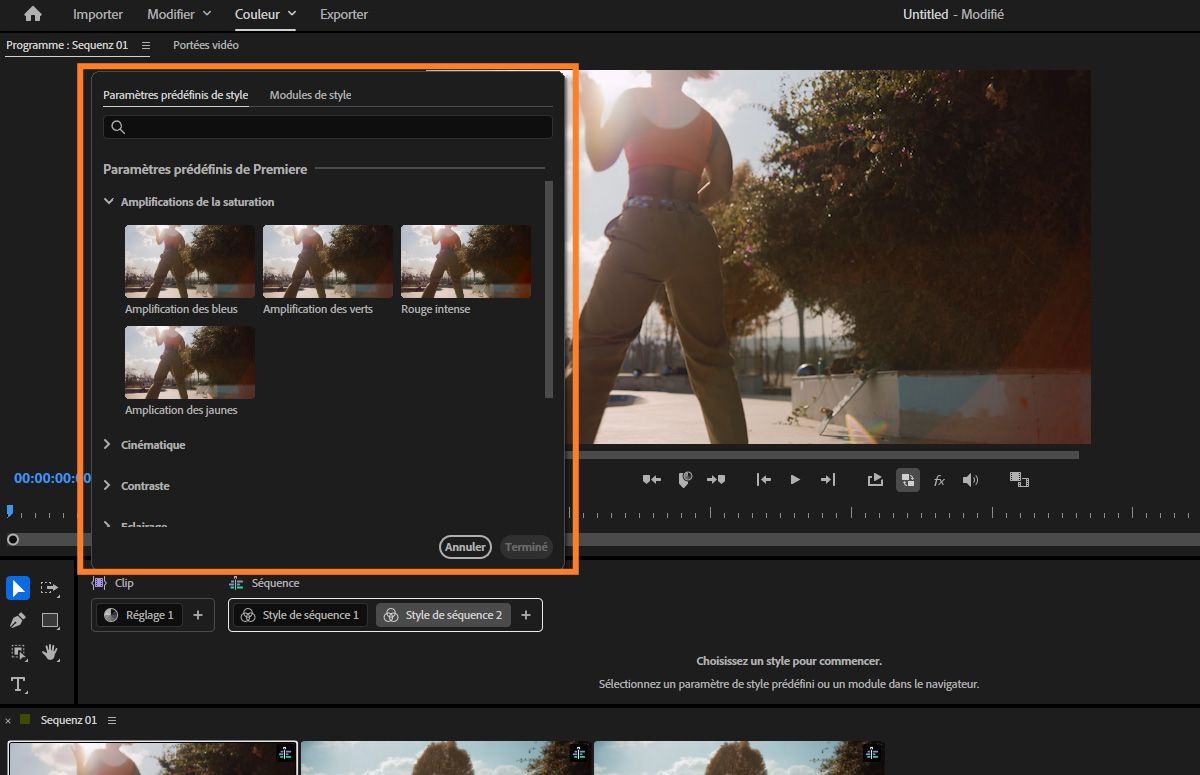 Navigateur de styles affichant les paramètres prédéfinis et les catégories pour sélectionner et appliquer des styles dans le panneau Outils couleur.