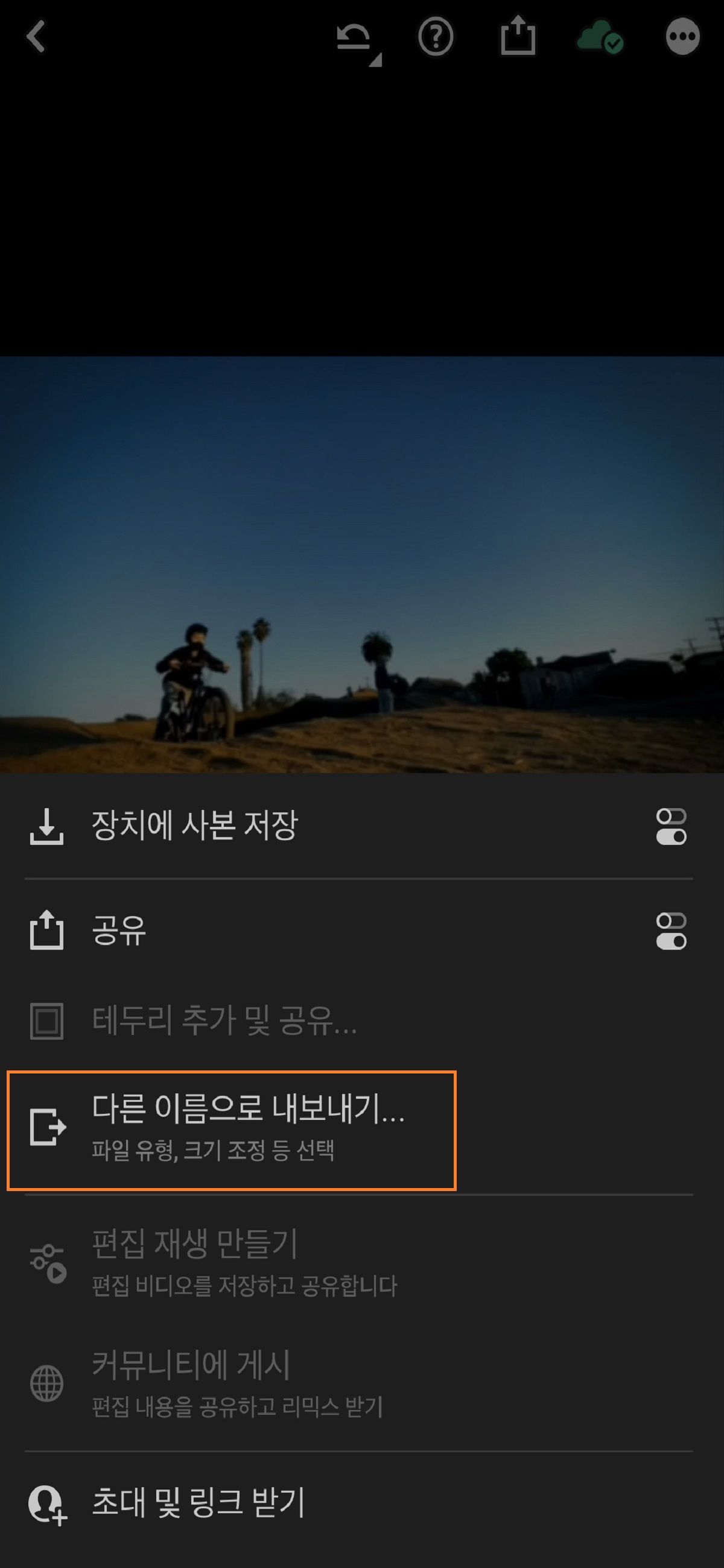 iOS용 Lightroom의 내보내기 화면