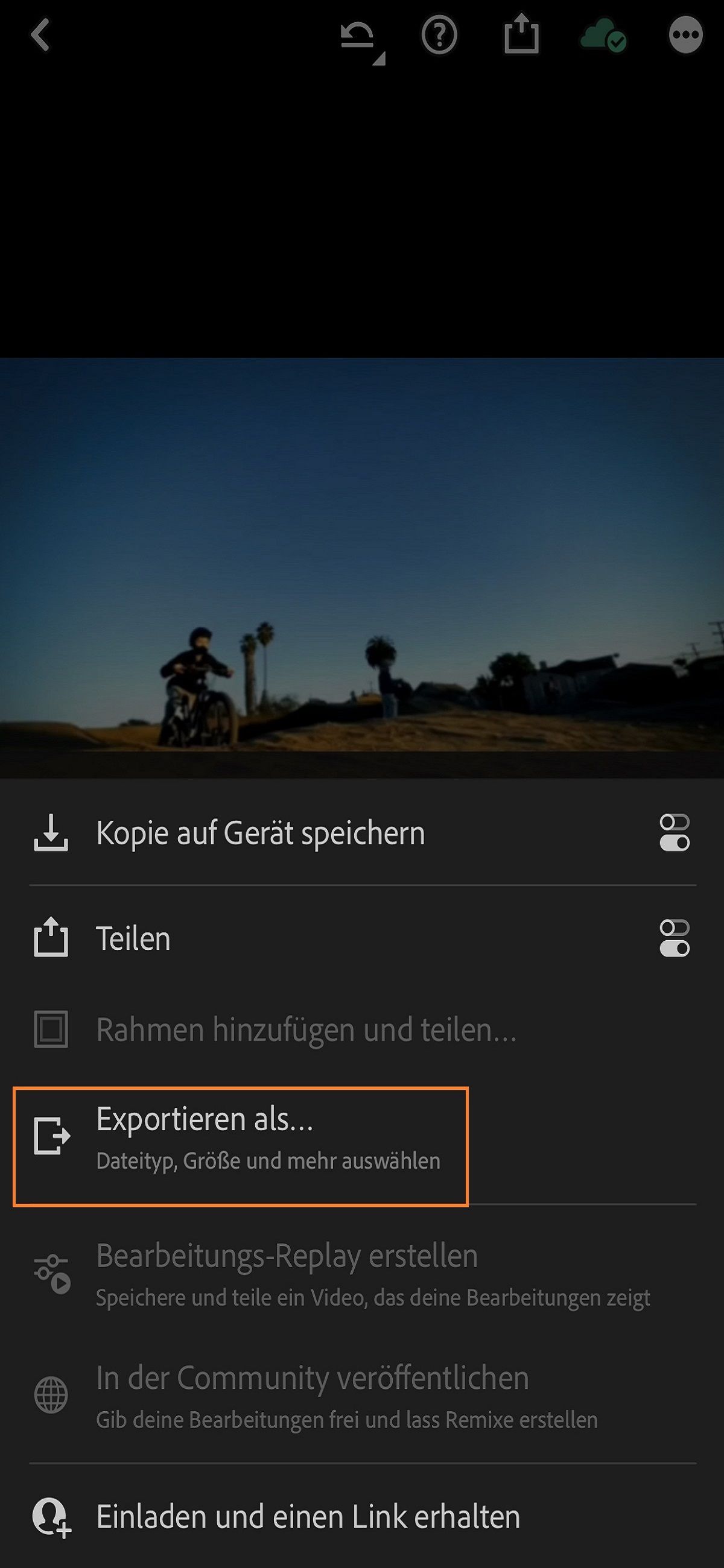 Bildschirm „Exportieren“ in Lightroom für iOS