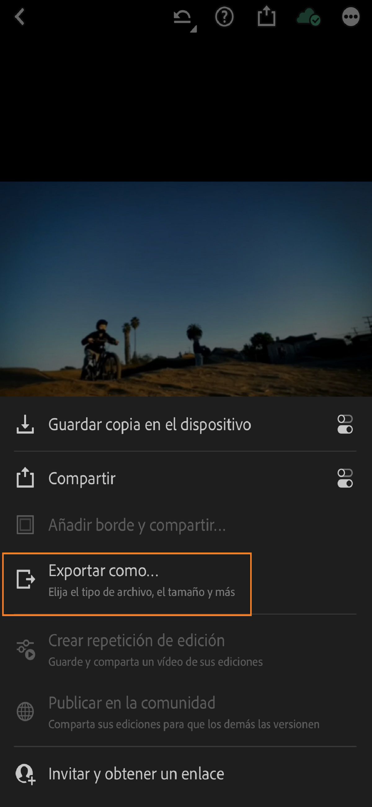Pantalla de exportación de Lightroom para iOS