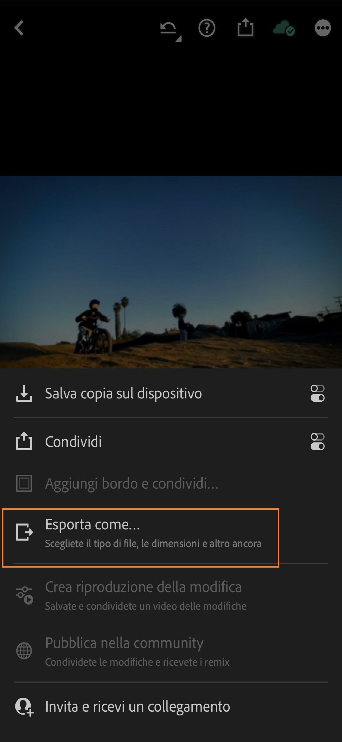 Schermata di esportazione in Lightroom per iOS