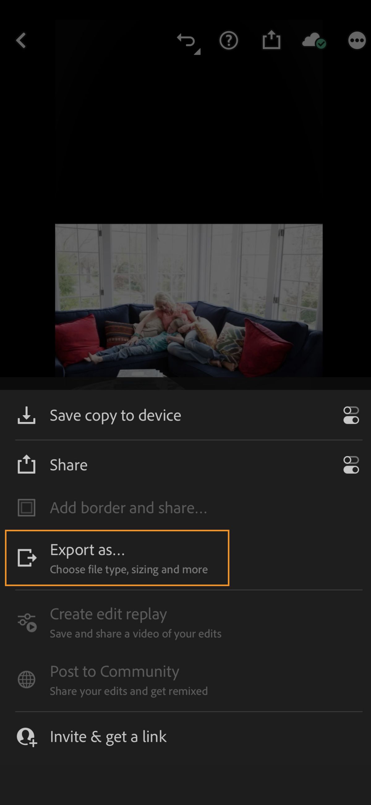 Export screen in Lightroom for iOS