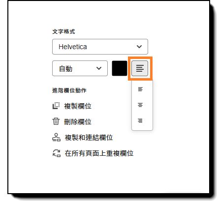 欄位設定選項的「文字格式」區段，強調顯示字型對齊選項。