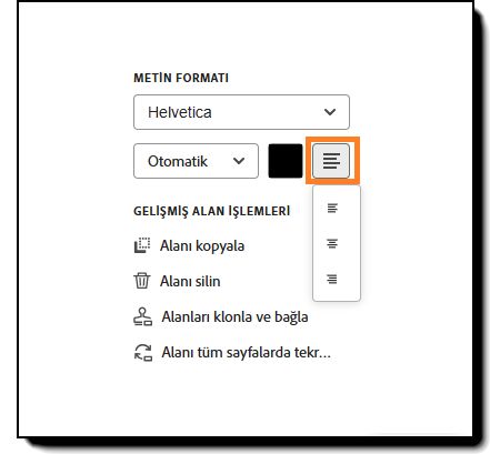 Alan yapılandırma seçeneklerinin, font yaslama seçenekleri vurgulu bir şekilde gösterilen Metin Formatı bölümü.
