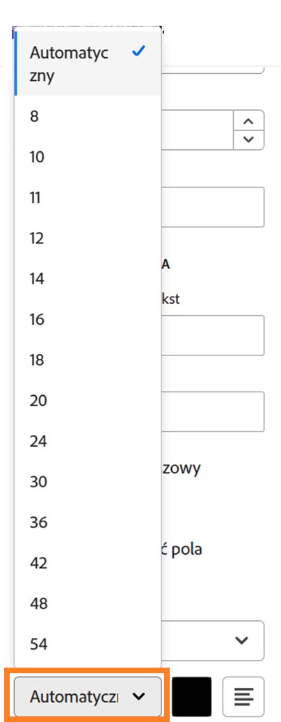 Sekcja Format tekstu w opcjach konfiguracji pola z wyróżnionymi opcjami rozmiaru czcionki.