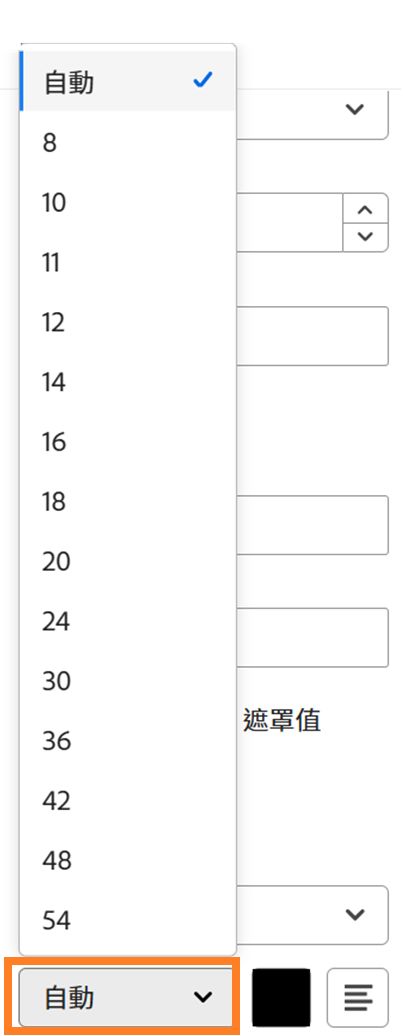 欄位設定選項的「文字格式」區段，強調顯示字型大小的選項。