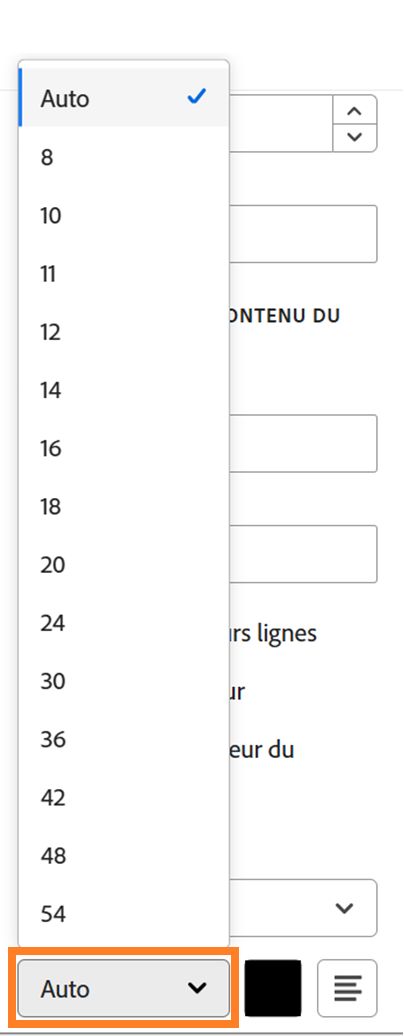 Section Format Texte des options de configuration des champs, avec les options de taille de police mises en surbrillance.