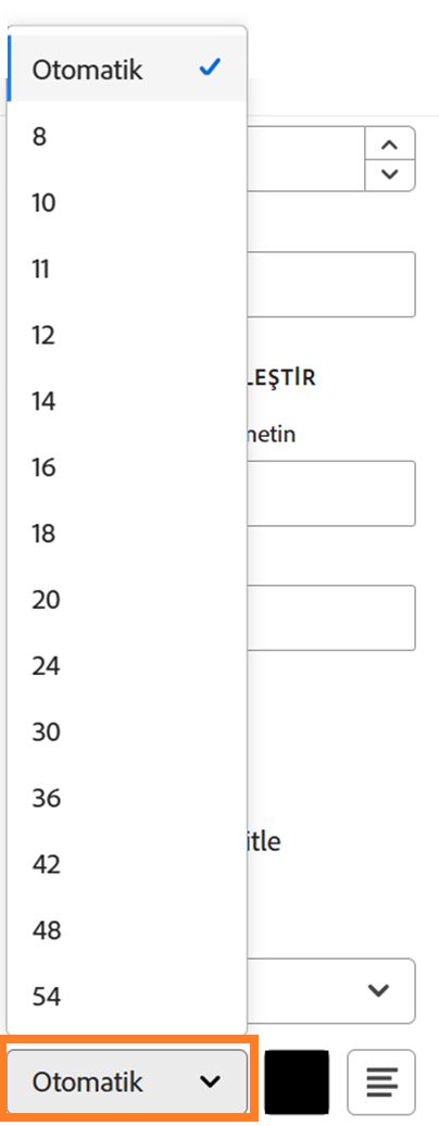 Alan yapılandırma seçeneklerinin, font boyutu seçenekleri vurgulu bir şekilde gösterilen Metin Formatı bölümü.
