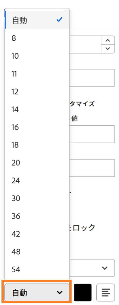 フォントサイズオプションがハイライト表示されているフィールド設定オプションの「テキスト形式」セクション。