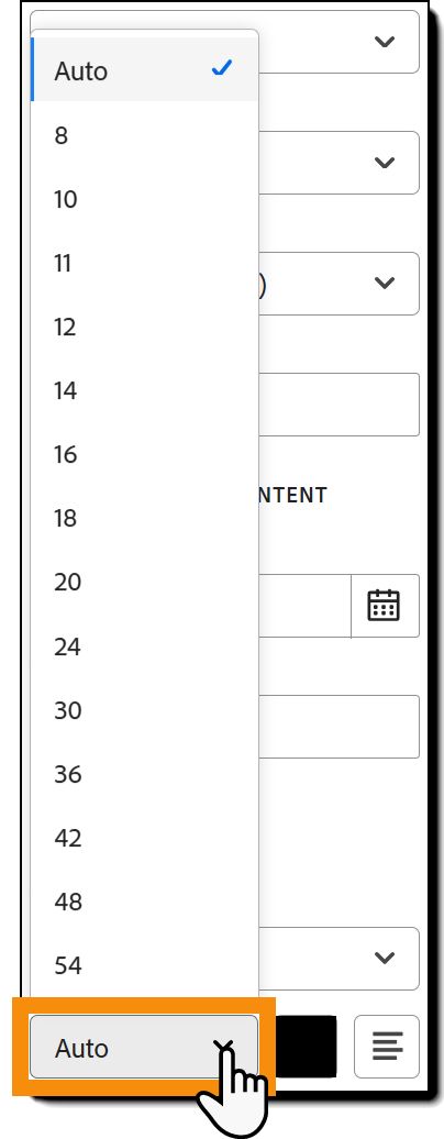 Avsnittet Textformat i fältkonfigurationsalternativet med alternativen för teckenstorlek markerade.