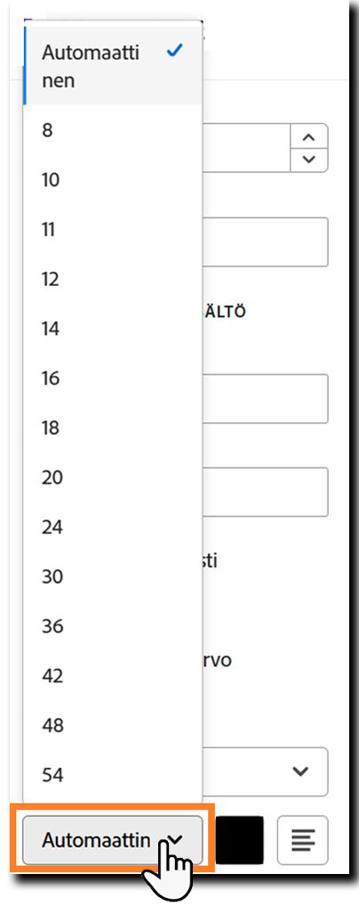 Kentän määritysvaihtoehtojen Tekstin muoto -osio, jossa kirjasinkoon asetukset ovat korostettuina.