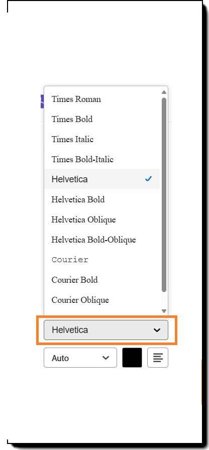 Section Format Texte des options de configuration des champs, avec les options de style de police mises en surbrillance.