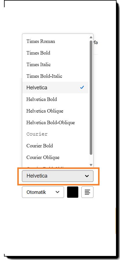 Alan yapılandırma seçeneklerinin, font stili seçenekleri vurgulu bir şekilde gösterilen Metin Formatı bölümü.