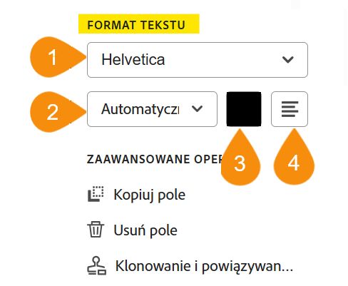 Sekcja Format tekstu w opcjach konfiguracji pola z wyróżnionymi czterema edytowalnymi właściwościami.
