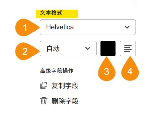 字段配置选项的“文本格式”部分，其中突出显示了四个可编辑属性。
