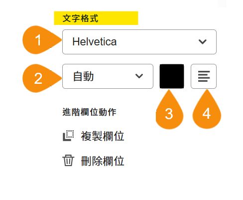 欄位設定選項的「文字格式」區段，強調顯示四個可編輯的屬性。