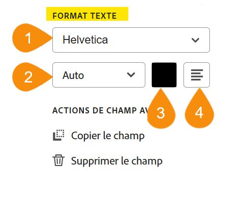 Section Format Texte des options de configuration des champs, avec les quatre propriétés modifiables mises en surbrillance.