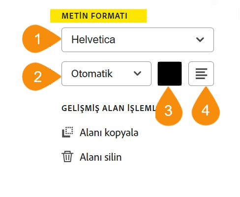Alan yapılandırma seçeneklerinin, düzenlenebilir dört özelliği vurgulu bir şekilde gösterilen Metin Formatı bölümü.