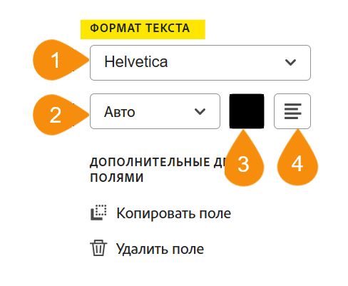 Раздел «Формат текста» в параметрах настройки полей с выделенными четырьмя свойствами, доступными для редактирования.