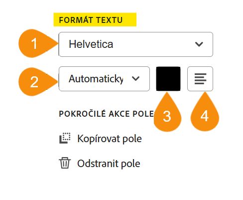 Část Formát textu možností konfigurace polí zvýrazňující čtyři upravitelné vlastnosti.