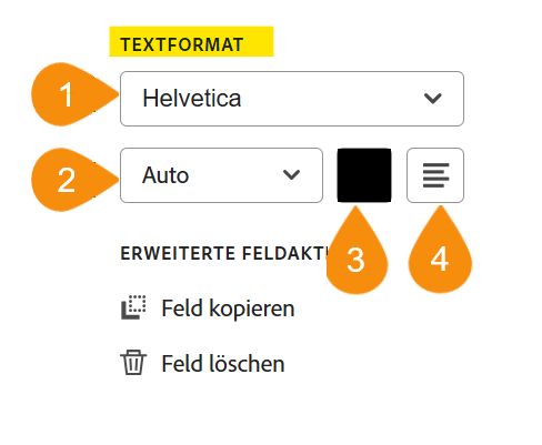 Der Abschnitt „Textformat“ der Feldkonfigurationsoptionen mit den vier bearbeitbaren Eigenschaften.