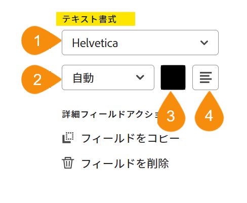 4 つの編集可能なプロパティがハイライト表示されているフィールド設定オプションの「テキスト形式」セクション。