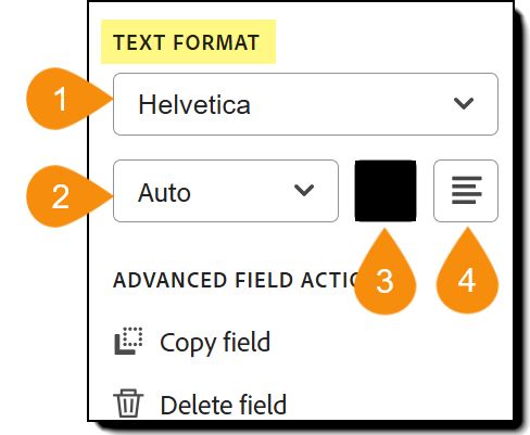 Sección Formato de texto de las opciones de configuración del campo con las cuatro propiedades editables resaltadas.