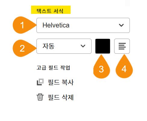 4개의 편집 가능한 속성이 강조 표시된 필드 구성 옵션의 텍스트 형식 섹션