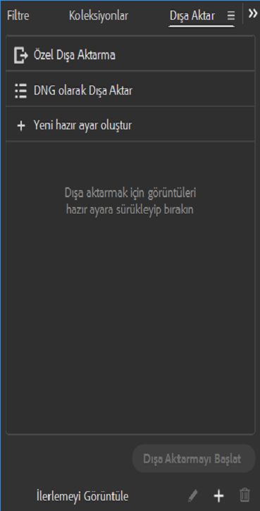 Bridge'deki Dışa Aktar paneli varlıklarınızı .jpeg formatında diskinize aktarmanızı sağlar.