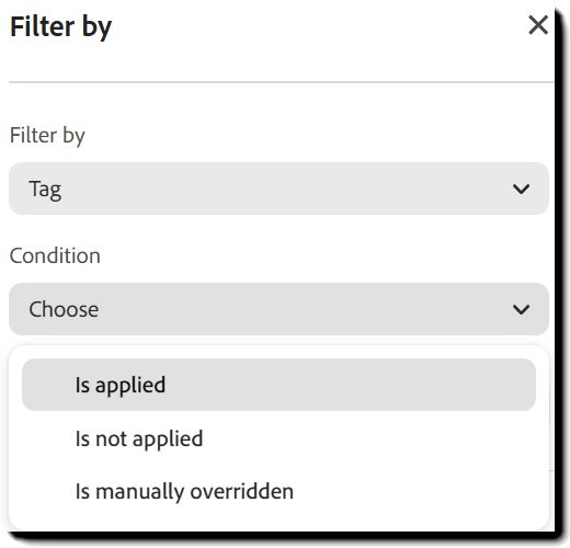הממשק Filter עם מסנן Tag שנבחר והתפריט Condition שהורחב.