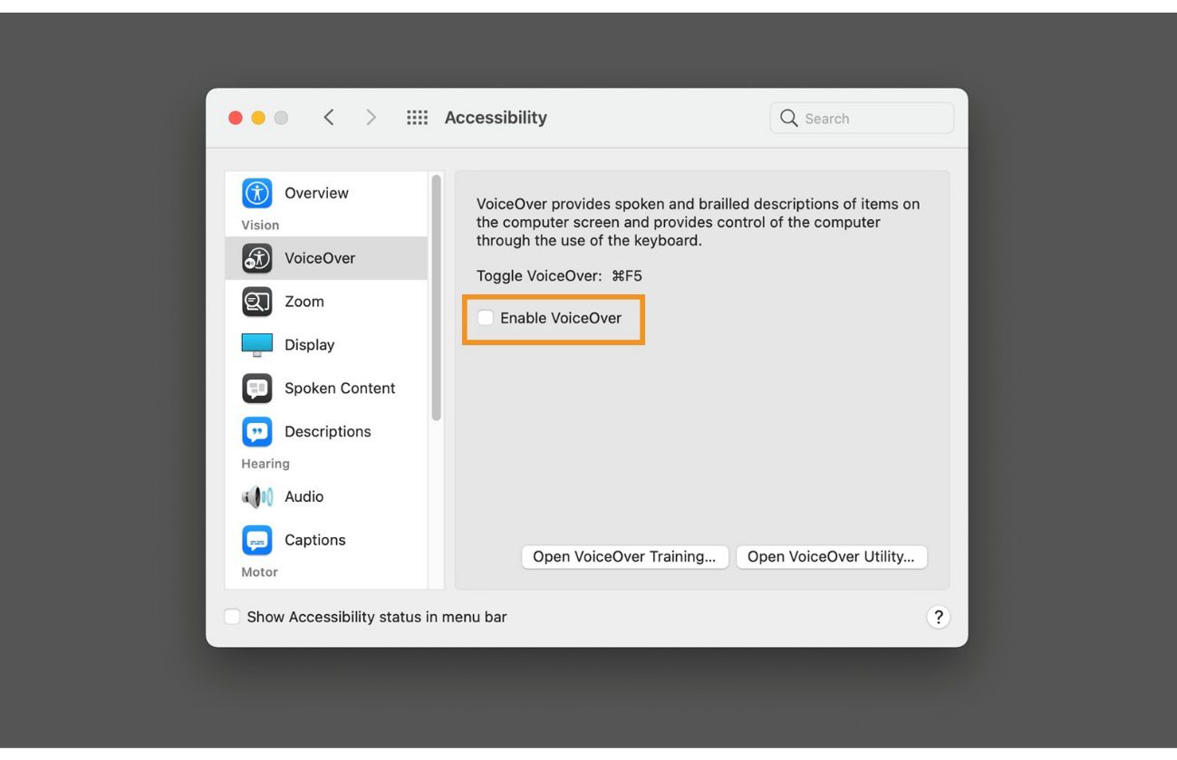 The Accessibility window displays the Enable VoiceOver option in the VoiceOver tab.