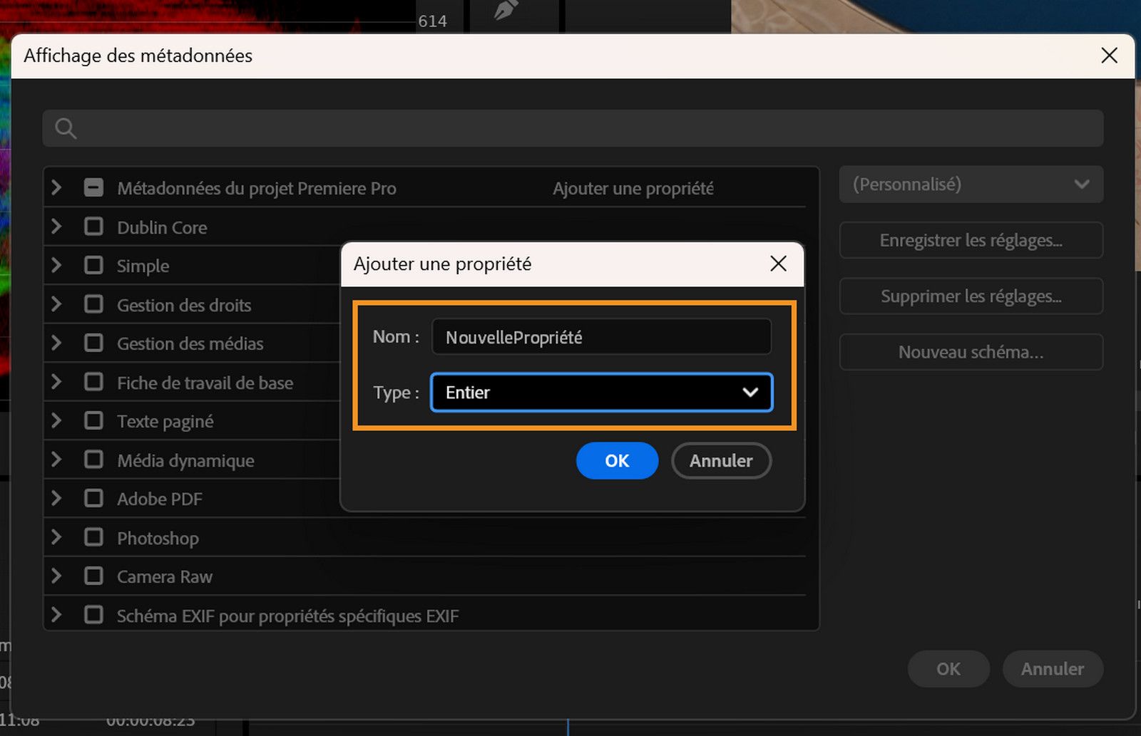 La boîte de dialogue Ajouter une propriété affiche le champ Nom et le Menu Texte pour ajouter de nouvelles colonnes.