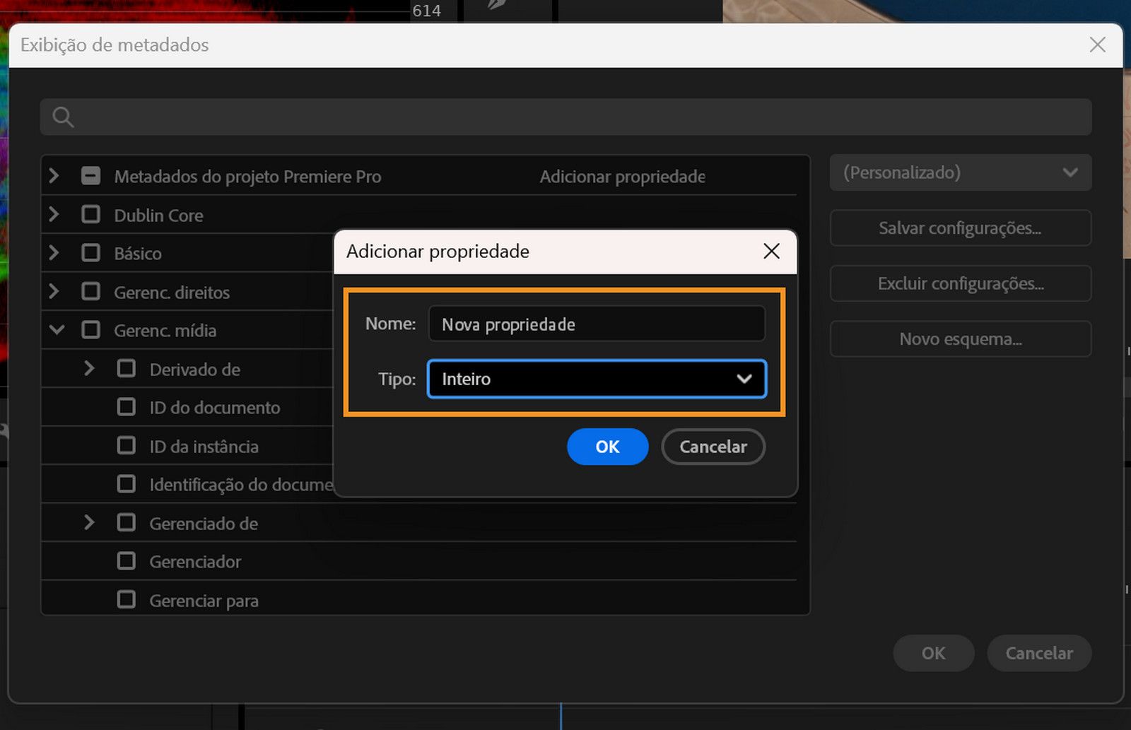 A caixa de diálogo Adicionar propriedade exibe o campo Nome e o menu Tipo para adicionar novas colunas.