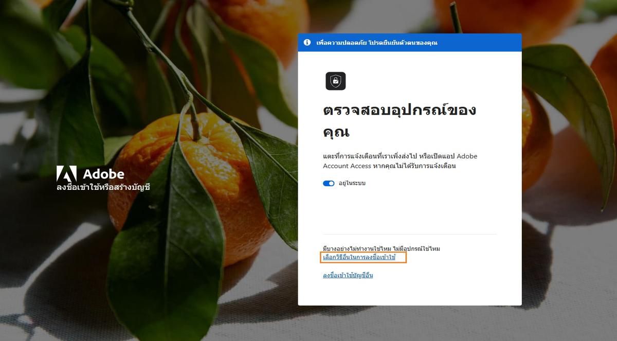 หน้าลงชื่อเข้าใช้ Adobe พร้อมหน้าต่างตรวจสอบอุปกรณ์ของคุณ ซึ่งตัวเลือก เลือกวิธีอื่นในการลงชื่อเข้าใช้ ถูกไฮไลต์