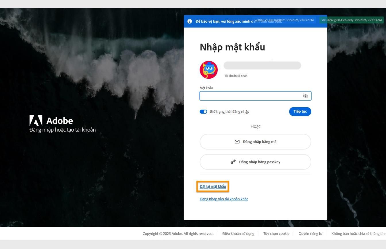 Trang Đăng nhập Adobe hiển thị hộp thoại Nhập mật khẩu, trong đó nút Đặt lại mật khẩu được làm nổi bật.