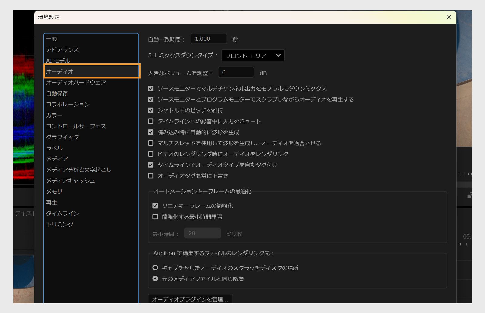 環境設定ダイアログボックスのオーディオパネルには、オートマッチタイム、5.1ミックスダウンタイプ、大きな音量調整など、さまざまなオーディオ設定が表示されます。