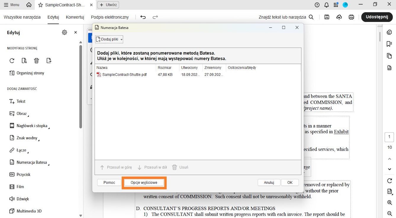 W oknie dialogowym Numeracja Batesa wyświetla się menu Dodaj pliki, aby dodać dokumenty do zastosowania w nich numeracji Batesa. Lista plików wyświetla szczegóły dotyczące nazwy, rozmiaru, dat utworzenia i modyfikacji oraz ostrzeżeń/błędów. Opcja Opcje wyjściowe jest podświetlona.